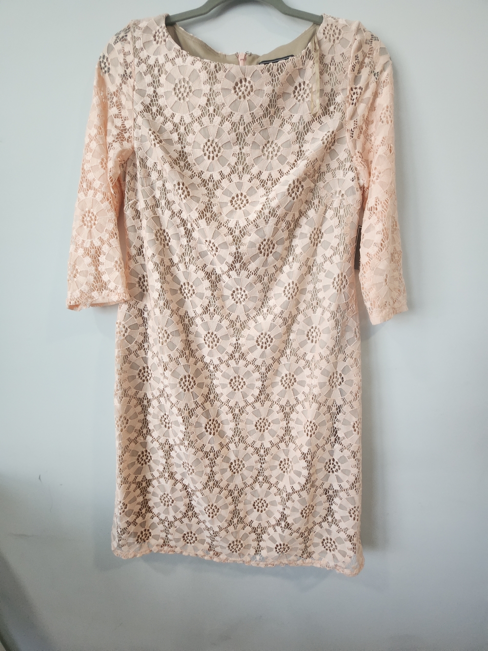 Lace Sheath Dress in Blush Pink